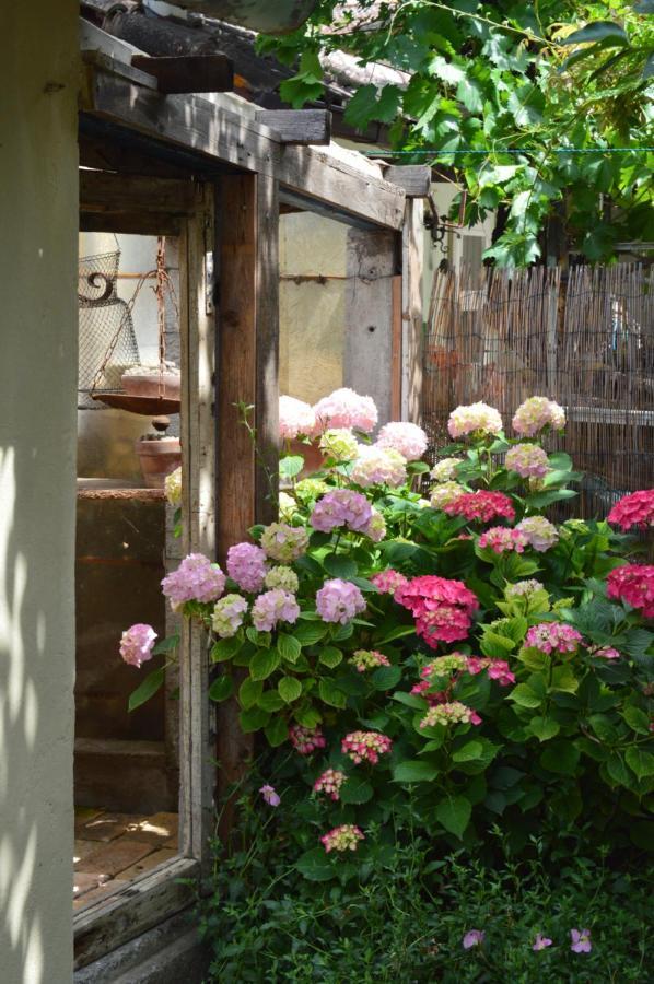 B&B Lady Cocca Savio di Ravenna Zewnętrze zdjęcie